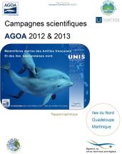 couverture rapport Agoa 2013