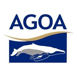 Sanctuaire pour les mammifères marins - Agoa